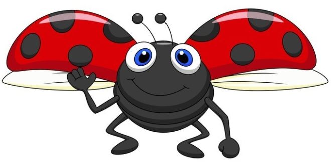 Cute ladybug cartoon flying